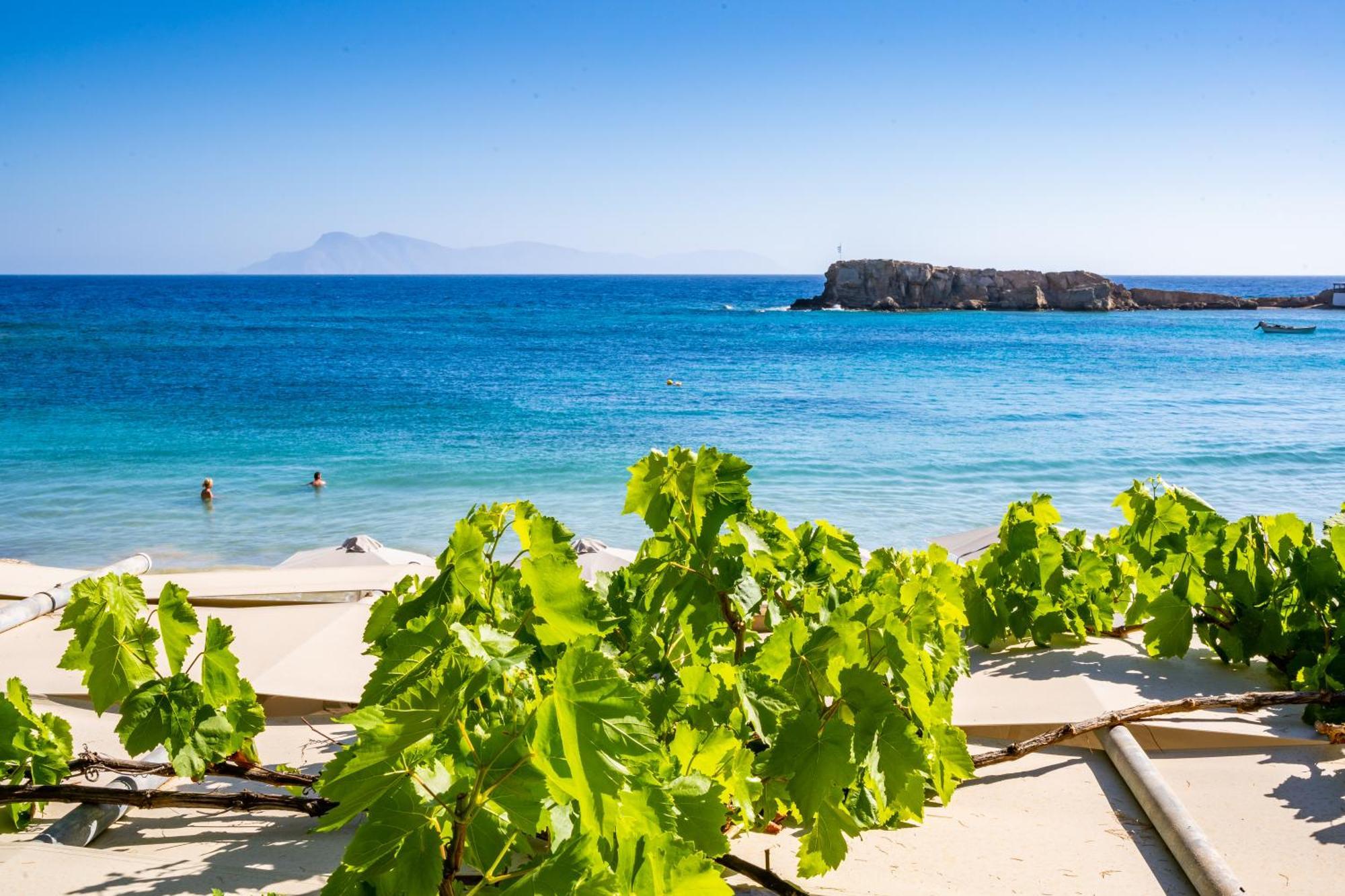 Le Grand Bleu Studios & Apartments Lefkos  Rom bilde